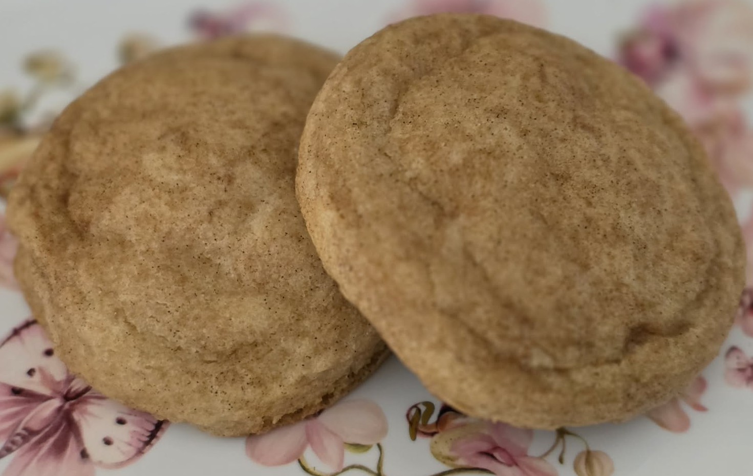 Snickerdoodle